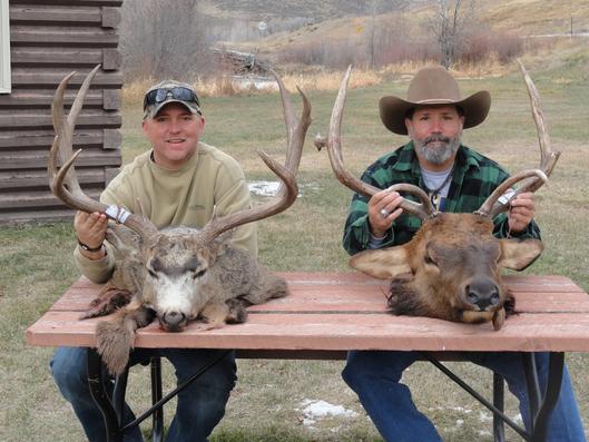 Mule Deer Buck and Bull Elk Hunt