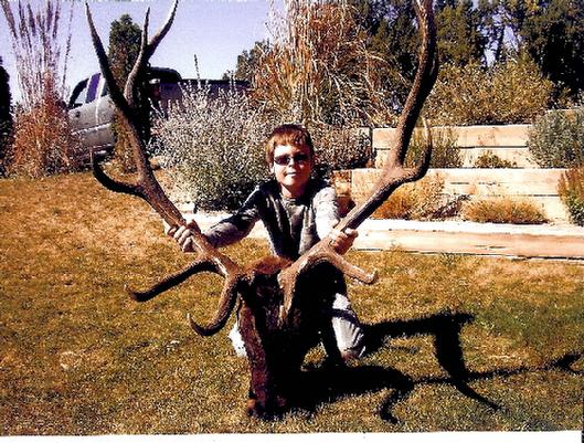 Bull Elk Hunt Cimarron Colorado