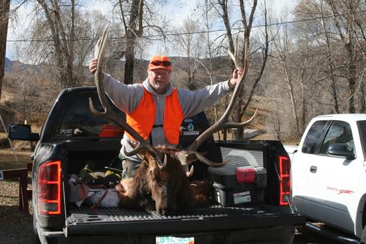 Boone and Crockett high score Elk Cimarron Colorado