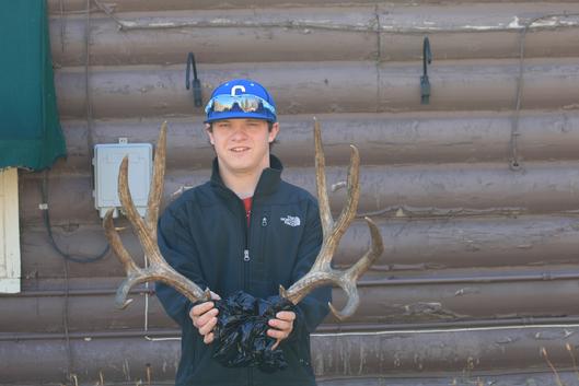 Mule Deer Hunt Buck