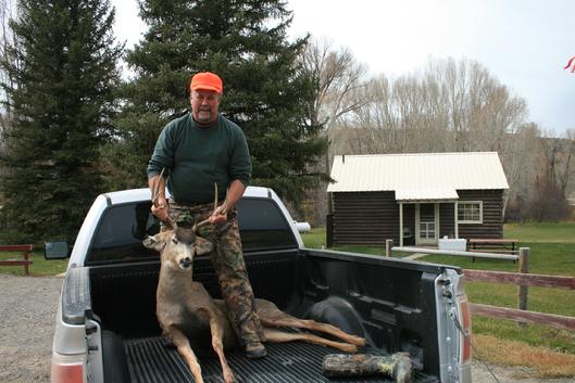 Mule Deer Hunt Buck